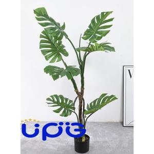 モンステラ 人工観葉植物 フラワー2 モンステラ...の商品画像