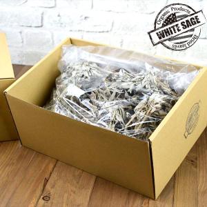ホワイトセージ ドライハーブ 1kg カリフォルニア産 Salvia apiana