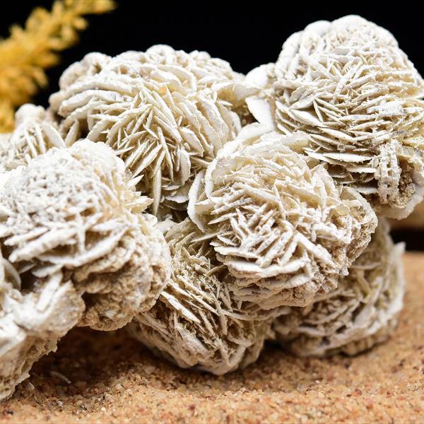 デザートローズ セレナイトローズ クラスター原石(約360.5g) メキシコ チワワ州 サマラユカ産...