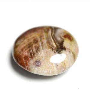 ペトリファイドウッド 珪化木 パームストーン 握り石 (約70.2g