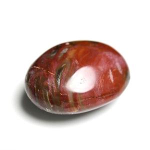 ペトリファイドウッド 珪化木 パームストーン 握り石 (約70.2g