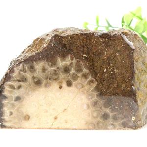 厳選天然石専門店 UPSTONE onbir - アラゴナイト｜Yahoo!ショッピング