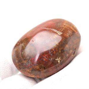 ペトリファイドウッド 珪化木 パームストーン 握り石 (約69g