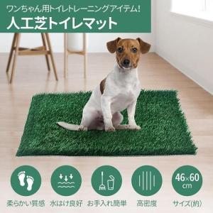 ペットトイレ 人工芝 ペットマット しつけ 犬用 犬用トイレ 小型犬 トレーニング 人工芝マットペットトイレシート 人工芝トイレ 人工芝生