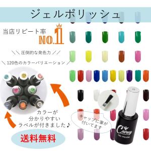 para gel パラジェル カラージェル S054 ブラン 4g : ネイルショップ