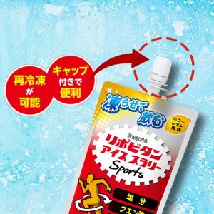 リポビタンD アイススラリー Sports 1...の詳細画像1