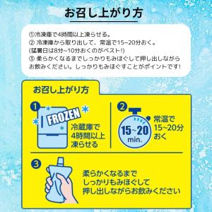 リポビタンD アイススラリー Sports 1...の詳細画像2