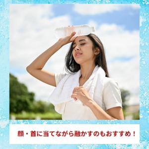 リポビタンD アイススラリー Sports 1...の詳細画像3