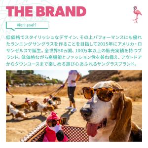 【正規品】グダー サングラス FLEX-G g...の詳細画像2