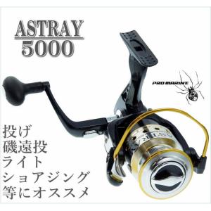ベイシック スピニングリール Bayspin ZX 5000 PE1.5号200m付(basic
