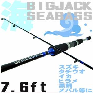 海専用ルアーロッド/BIGJACK76F　7.6FT　ライトシーバス/エギング/メバリング/ロックフィッシュ等に/ソルトルアー竿