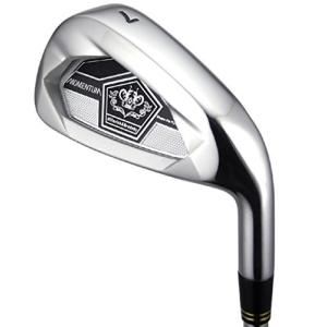 ブリヂストン TOURSTAGE アイアンセット ツアーステージ X-BLADE 703