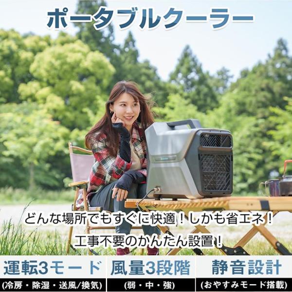 ポータブルクーラー 冷房 持ち運び ポータブル 冷風 除湿 送風 省エネ 静音 災害時 アウトドア ...