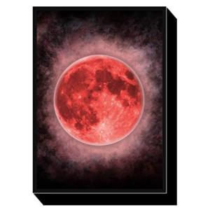 カードスリーブ おしゃれ遊び の商品一覧 おもちゃ ゲーム おもちゃ 通販 Yahoo ショッピング