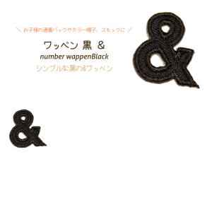 どれでも5枚以上でメール便送料無料!アイロンで簡...の商品画像