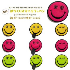 どれでも5枚以上でメール便送料無料!アイロンで簡...の商品画像
