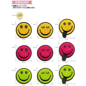 どれでも5枚以上でメール便送料無料!アイロンで...の詳細画像2
