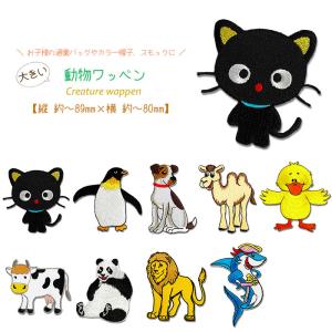 どれでも5枚以上でメール便送料無料!アイロンで簡...の商品画像