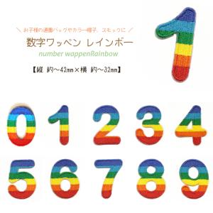 どれでも5枚以上でメール便送料無料!アイロンで簡...の商品画像