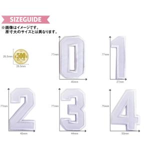 どれでも5枚以上でメール便送料無料!アイロンで...の詳細画像1