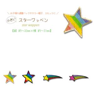 THRASHER（スラッシャー） US パッチ ワッペン 刺繍 Iron On Flame