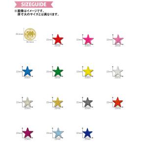 どれでも5枚以上でメール便送料無料!アイロンで...の詳細画像1