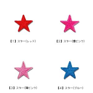 どれでも5枚以上でメール便送料無料!アイロンで...の詳細画像2