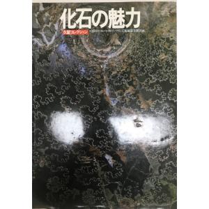 講座・文明と環境 梅原猛 ほか編 朝倉書店 1995年10月 : 株式会社Wit