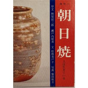 朝日焼 : カラー 土は生きている