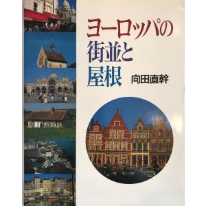清代廣式家具 中国古典家具　洋書：中国語 Amazon.co.jp: 大成若缺(Ⅳ)(精)/中国古典家具技艺全书 9787521906097
