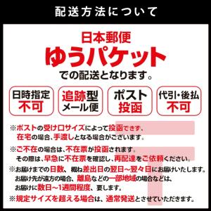 クーポン対象商品 G-MASTER ジーマスタ...の詳細画像3
