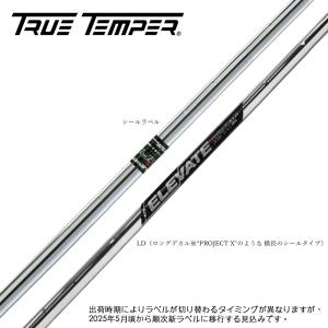 ダイナミックゴールド ミッド ツアーイシュー DG MID TOUR ISSUE X100