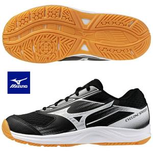 MIZUNO（ミズノ） WAVE LIGHTNING NEO 2 ウエーブライトニング NEO 2