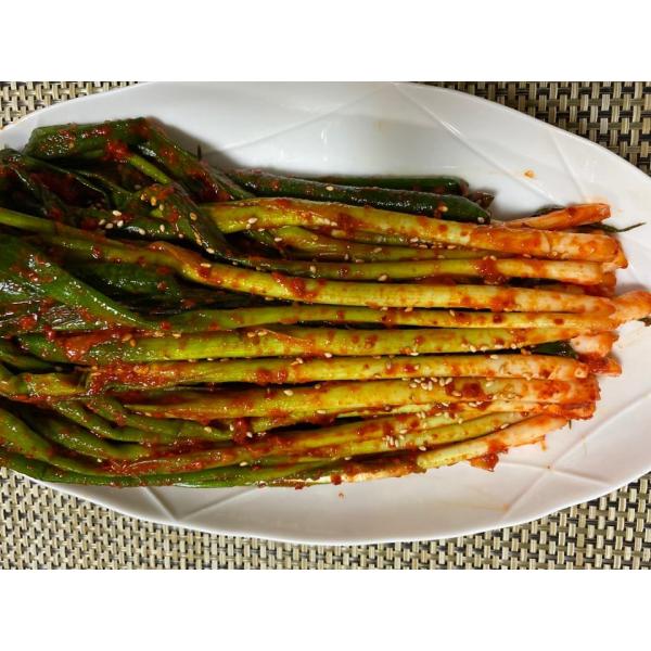 【今からおかん 自家製】本格手作り！(日本産ネギ）500g【クール便】 韓国 食品 おかず お惣菜 ...