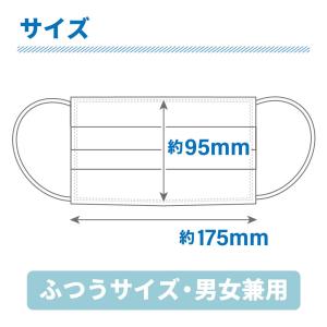 冷感 不織布 マスク 50枚×2箱 100枚 ...の詳細画像2
