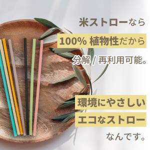 米 ストロー 20本 | エコ カラフル おし...の詳細画像4