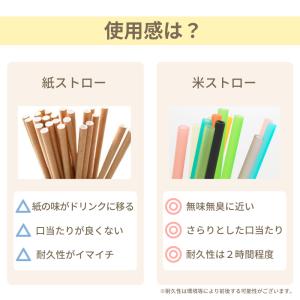 米 ストロー 20本 | エコ カラフル おし...の詳細画像5