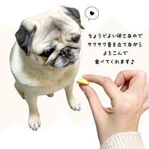 スマック グルテンフリー クッキー 犬用 2個...の詳細画像2
