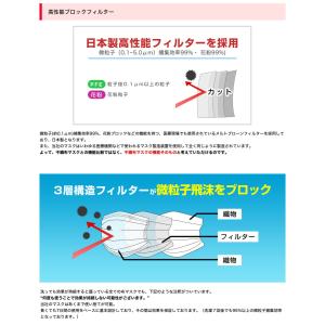 第三のマスク 日本製 マスク 洗える 使い捨て...の詳細画像5