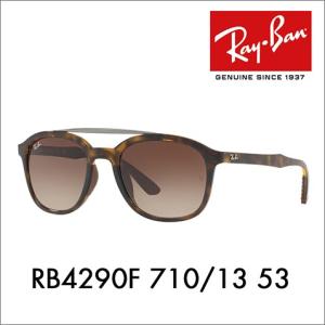 Ray-Ban（レイバン） 偏光サングラス RB4265 601/5J・710/A2 62