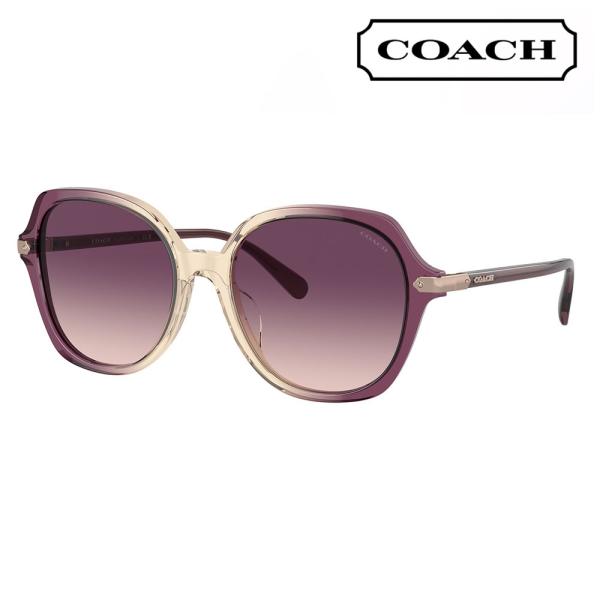 コーチ COACH サングラス HC8377U 57737W 55  ラウンド セル レディース ユ...