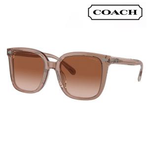 極美品　 COACH コーチ サングラス ケース付き コーチ COACH サングラスケース メンズ レディース 眼鏡ケース