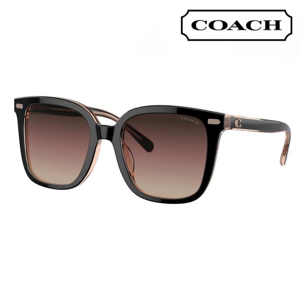 コーチ COACH サングラス HC8381F 5781E2 56 スクエア セル フルフィットモデ...