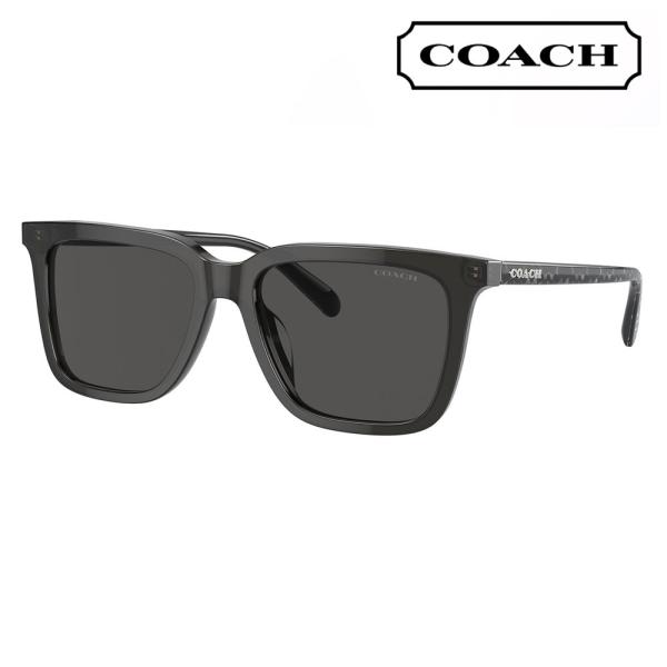 オススメ価格 コーチ COACH サングラス HC8385U 579387 54 ウェリントン スク...