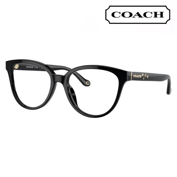 オススメ価格 コーチ COACH メガネフレーム HC6234F 5002 56 ウェリントン セル...