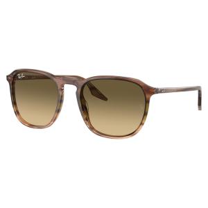Ray-Ban（レイバン） サングラス RB3447N 001/3F 50 ラウンド メタル