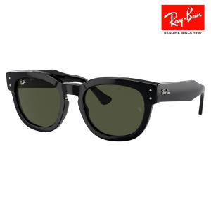 レイバン サングラス 純正レンズ対応 RB029...の商品画像