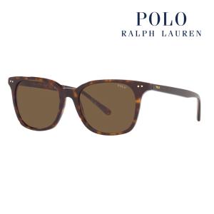 POLO RALPH LAUREN ポロラルフローレン サングラス PH4187F 500373 53 スクエア ウェリントン フルフィットモデル セル 伊達メガネ 眼鏡｜upup