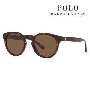 POLO RALPH LAUREN ポロラルフローレン サングラス PH4184F 500373 53 パントス ラウンド フルフィットモデル セル 伊達メガネ 眼鏡