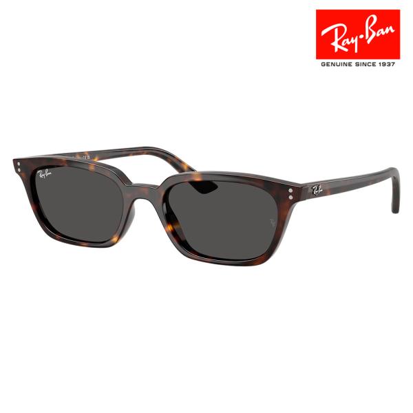 レイバン サングラス 純正レンズ対応 RB4456F 135987 52 Ray-Ban ZAYA ...